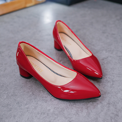 Wiosenne szpiczaste damskie buty na wysokim obcasie 4 cm Skórzane czółenka Biuro biznesowe Niski obcas damski